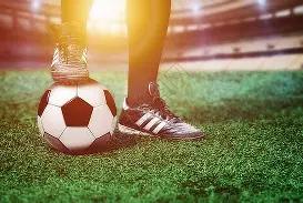 李先生携子,女观赛感慨,现场热度远,星空体育平台,星空体育官方网站,星空体育登录入口,星空体育app下载