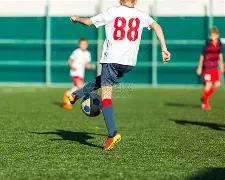 甘肃中药材,远销至,个国家及地,星空体育平台,星空体育官方网站,星空体育登录入口,星空体育app下载