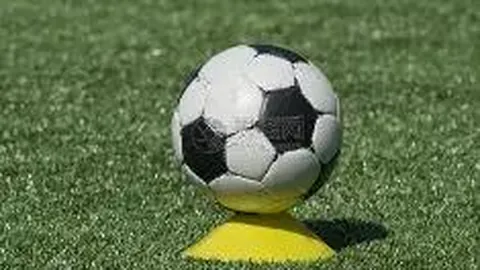 星空体育 产品 120117 ozf