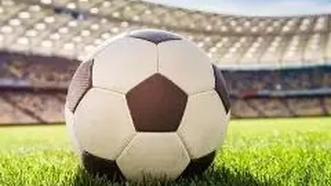 星空体育 产品 115734 nqp