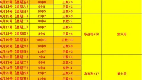 东莞新彤盛近六战五胜，陕西队疑云重重星空体育直播：状态分析指南